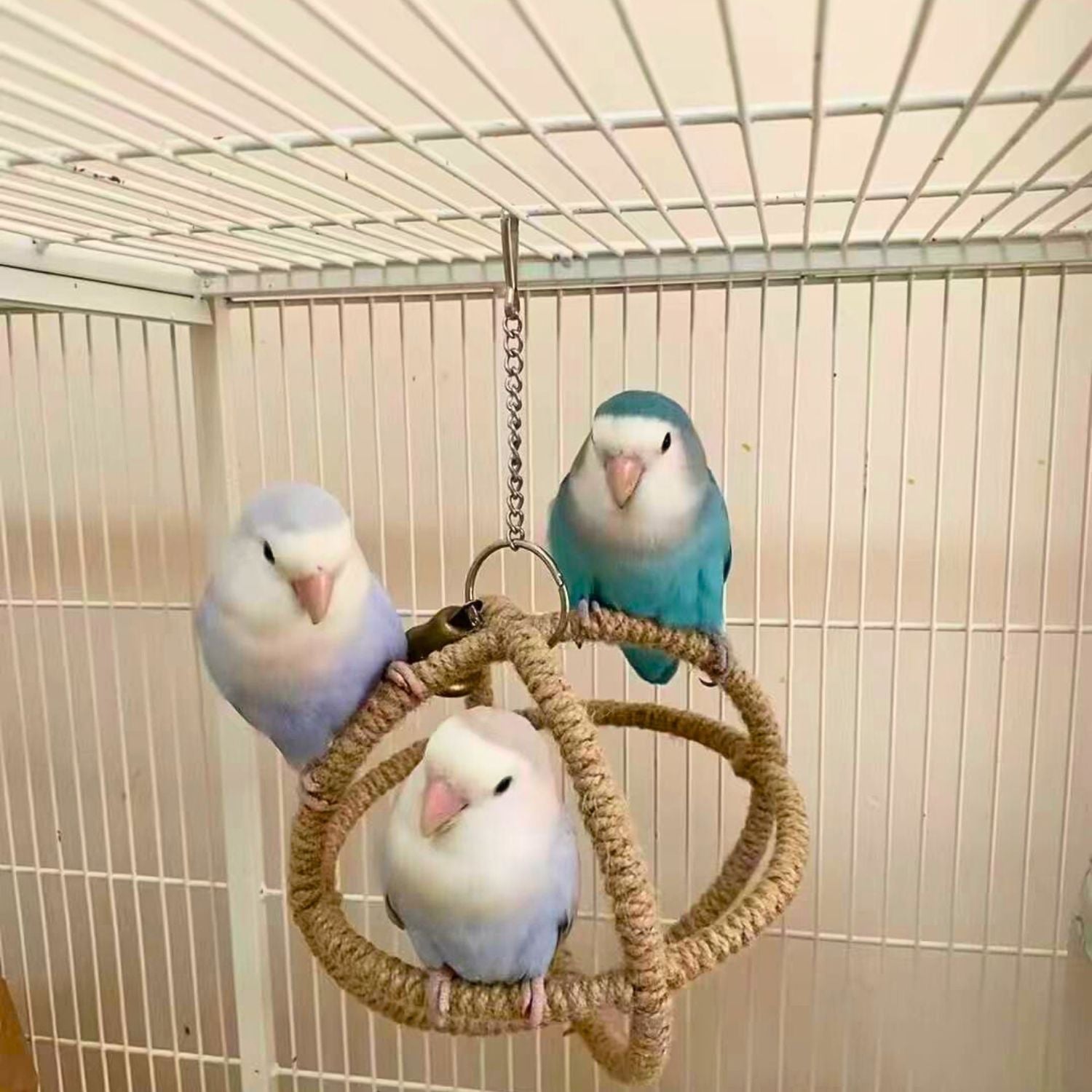 Vogels Hennep Touw Ring drie vogels op ring